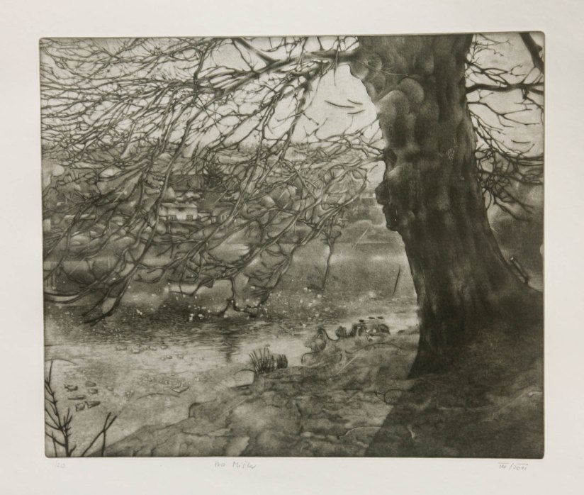 Libočák, mezzotinta 34x27 cm