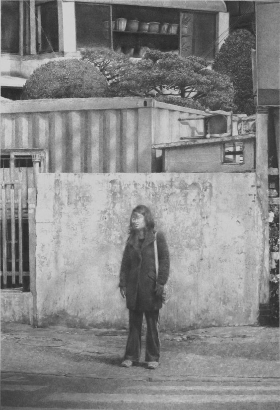 Zeď, litografie 80x60 cm