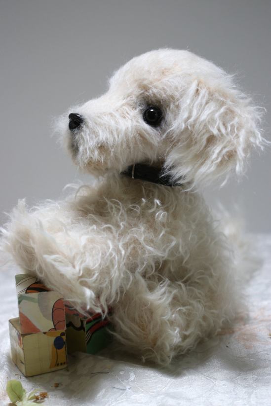 Teddy pes, německý mohér, 28x27cm, 2019